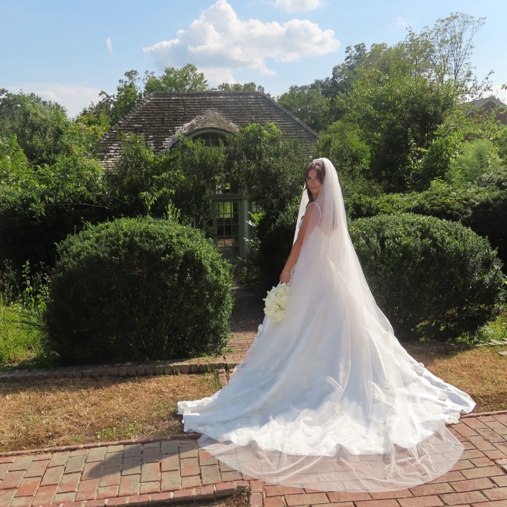 Cathedral ivory veil with blusher